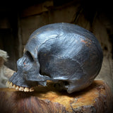 Human skull
