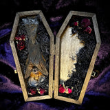 Taxidermy Fruit Bat - Mini Curio Coffin