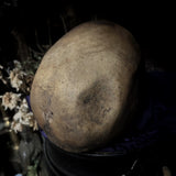Human skull