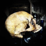 A Human skull (with custom made steel stand)