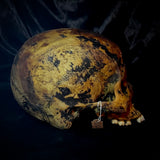 Item 1. Human skull