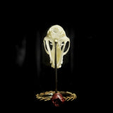 “Bat Skull” in a glass dome
