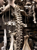 Articulated human spine