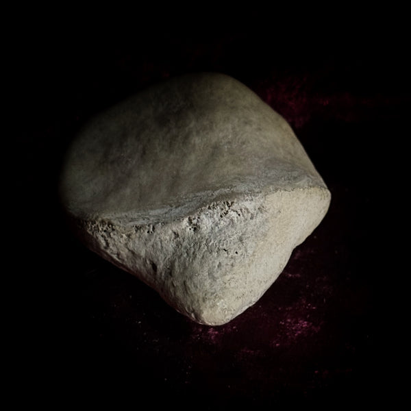 Adam Rouilly Human Kneecap