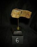 Item 6. Mummified leg slide stand