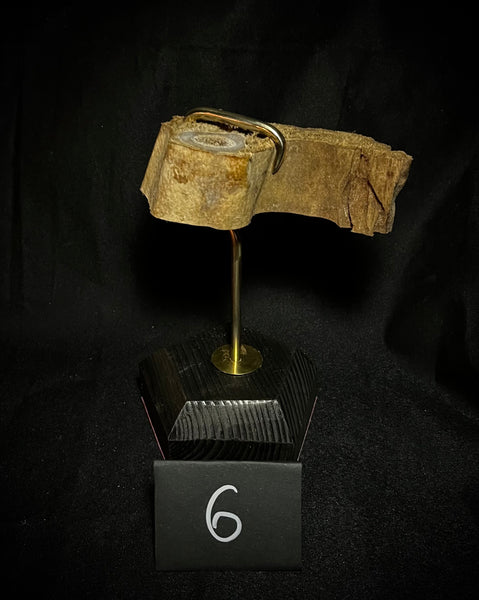 Item 6. Mummified leg slide stand