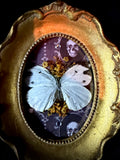 Item 10. Butterly frame