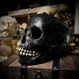 Brass tooth skull