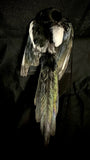 Item 4. Taxidermy magpie