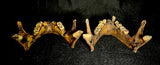 Item 9. Two human mandibles