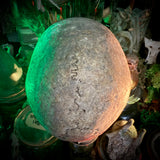 Human skull *COMPETITION*