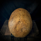 Item 1. Human skull with mandible