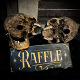 Human skull raffle