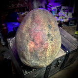 Human skull