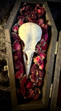 Item 12. Crow coffin