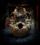 A human skull