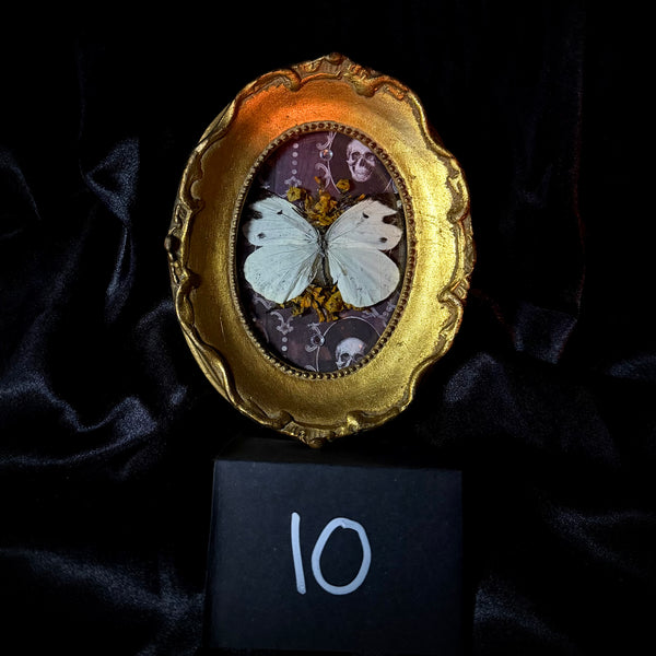 Item 10. Butterly frame