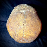 Item 9. Human skull
