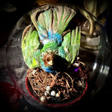 Taxidermy tanager