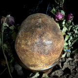 A human skull