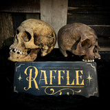 Human skull raffle