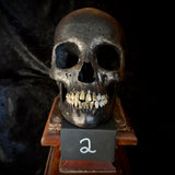 Item 2. Brass tooth skull