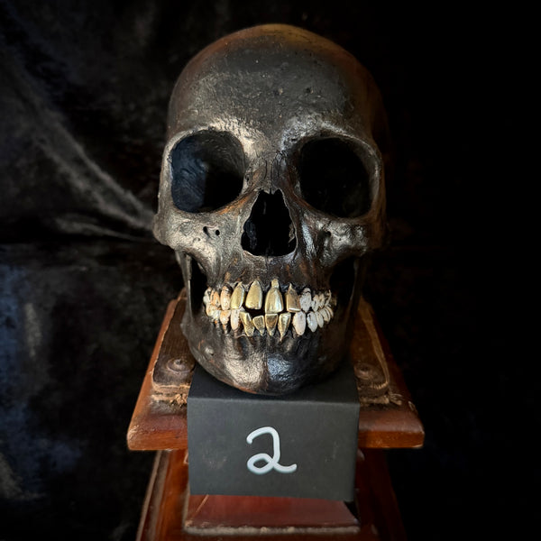 Item 2. Brass tooth skull