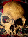Memento Mori skull & crossbones frame