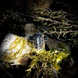 Sterling silver vivianite claw ring