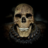 Extremely large Human skull with mandible