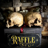Human skull OR Mystery box