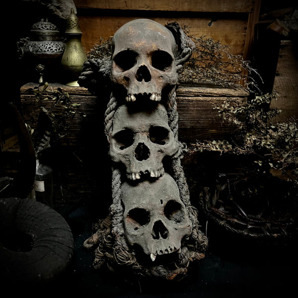 African tribal human skulls