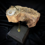 Item 2. Leg slice stand
