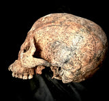 A human skull