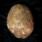 Item 20. Human skull