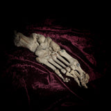 Adam Rouilly Articulated left foot