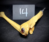 Item 14. Human bone pick