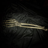Human Arm - Brass cast