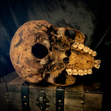 Item 3. Human skull