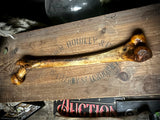 Human femur bone