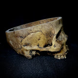 Item 13. Partial human skull