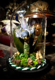 Taxidermy warbler