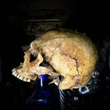 A Human skull (with custom made steel stand)
