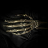 Human Arm - Brass cast
