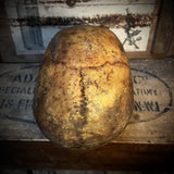 Human skull with mandible