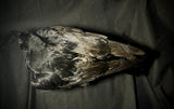 Item 25. Taxidermy crow