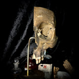 Partial human skull on stand