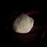 Adam Rouilly Human Kneecap