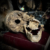 Human skull with mandible