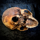 Item 9. Human skull